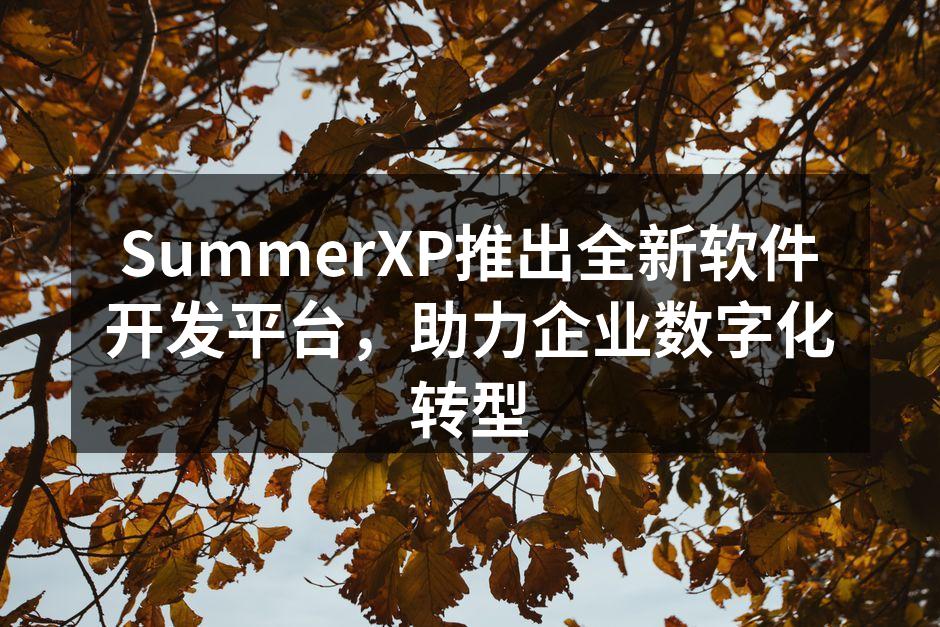 SummerXP推出全新软件开发平台,助